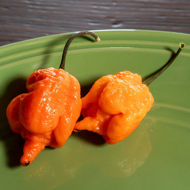 Orange Carolina Reaper Pepper Seeds - The Pepper Pantry (Formerly Marie Sharp's)